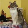 Отзыв от Алиса Никитина